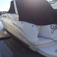 sea-ray-express-cruiser